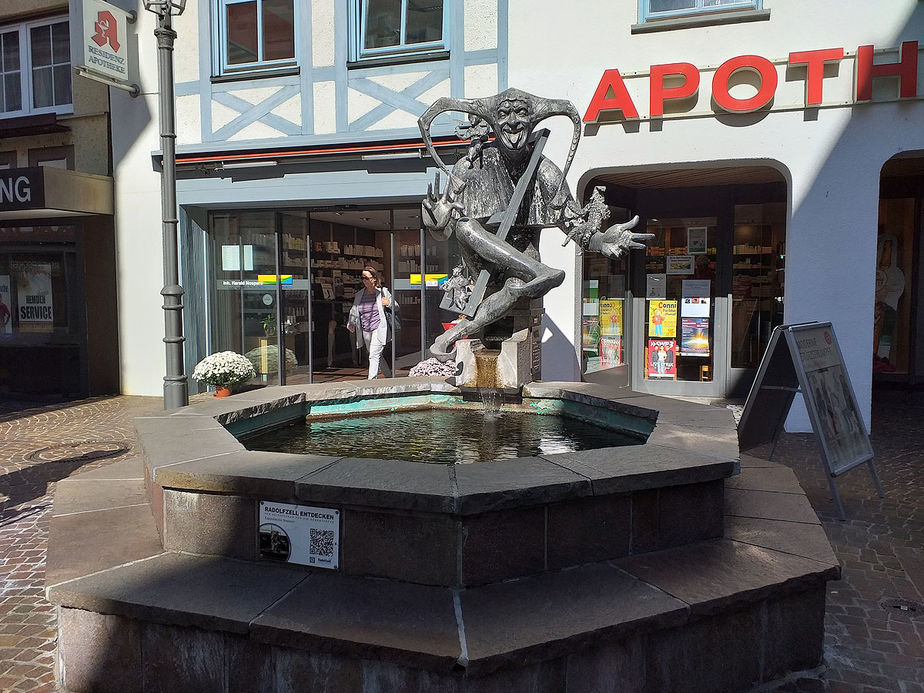 Erkundung von Heimerads Heimat Rheinfall, Radolfzell, Reichenau